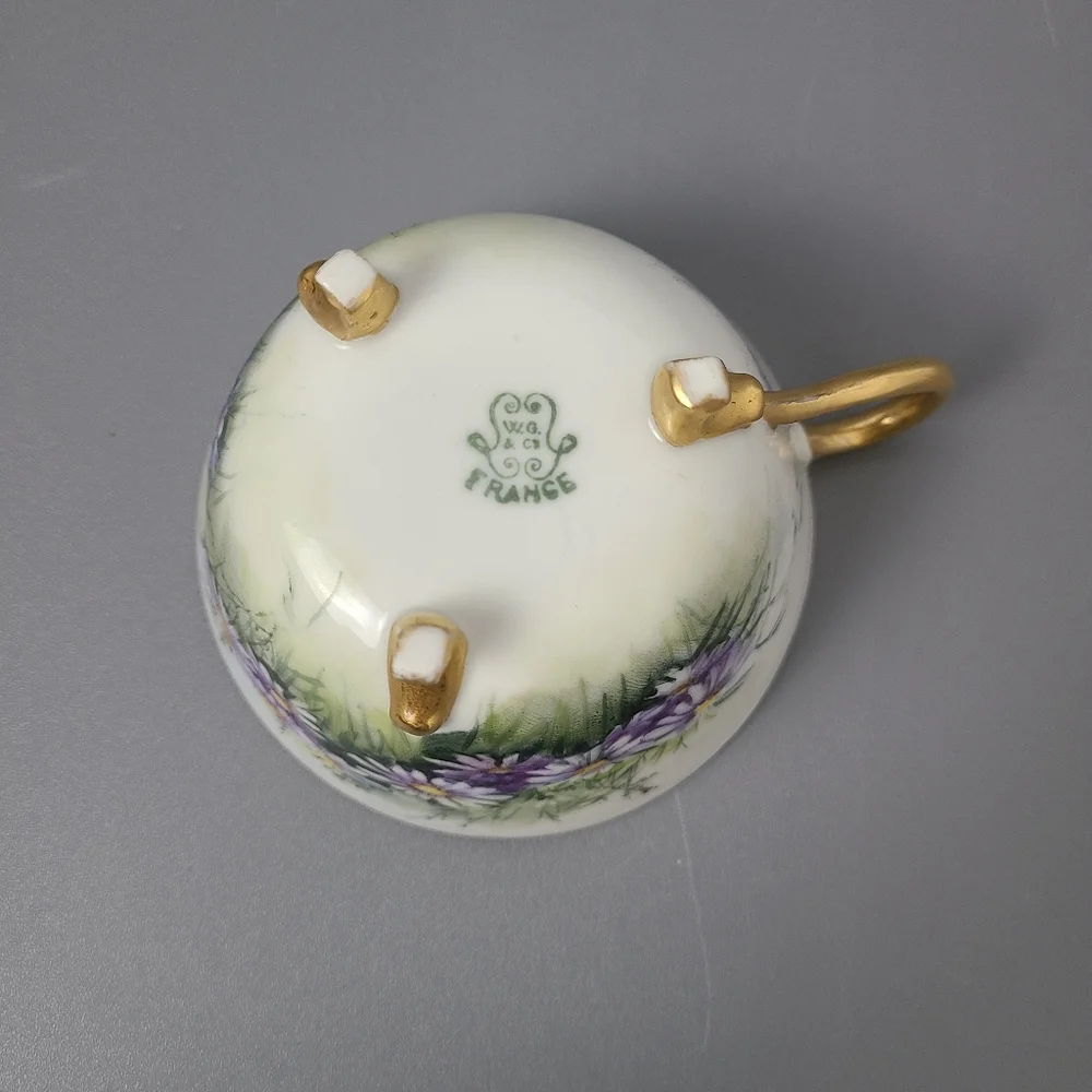 W.G. Co. France Hand Painted Porcelain Gold Footed Vintage Teacup